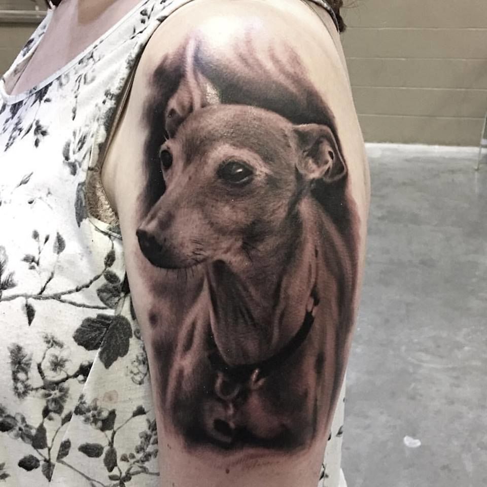 16425933_1202961299781729_5455814899521679780_n