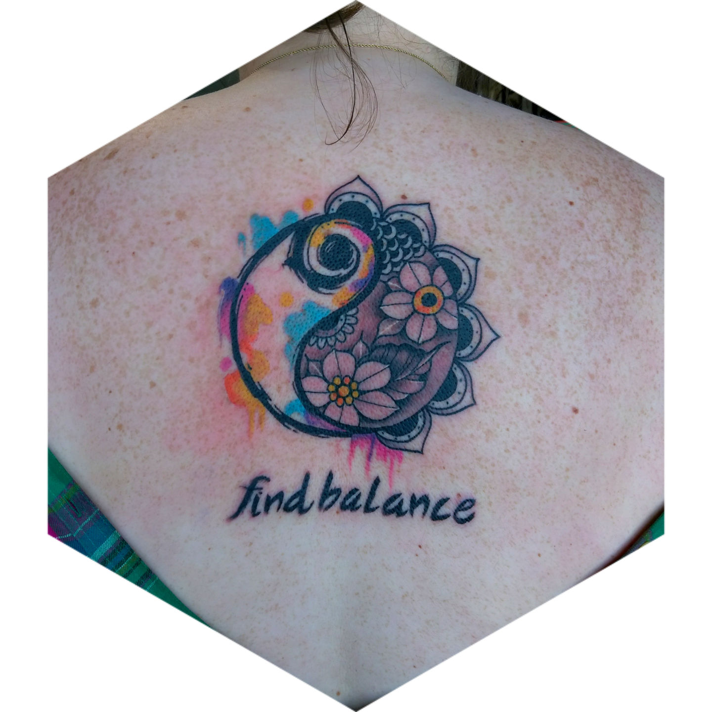 Inshot_20170328_173130