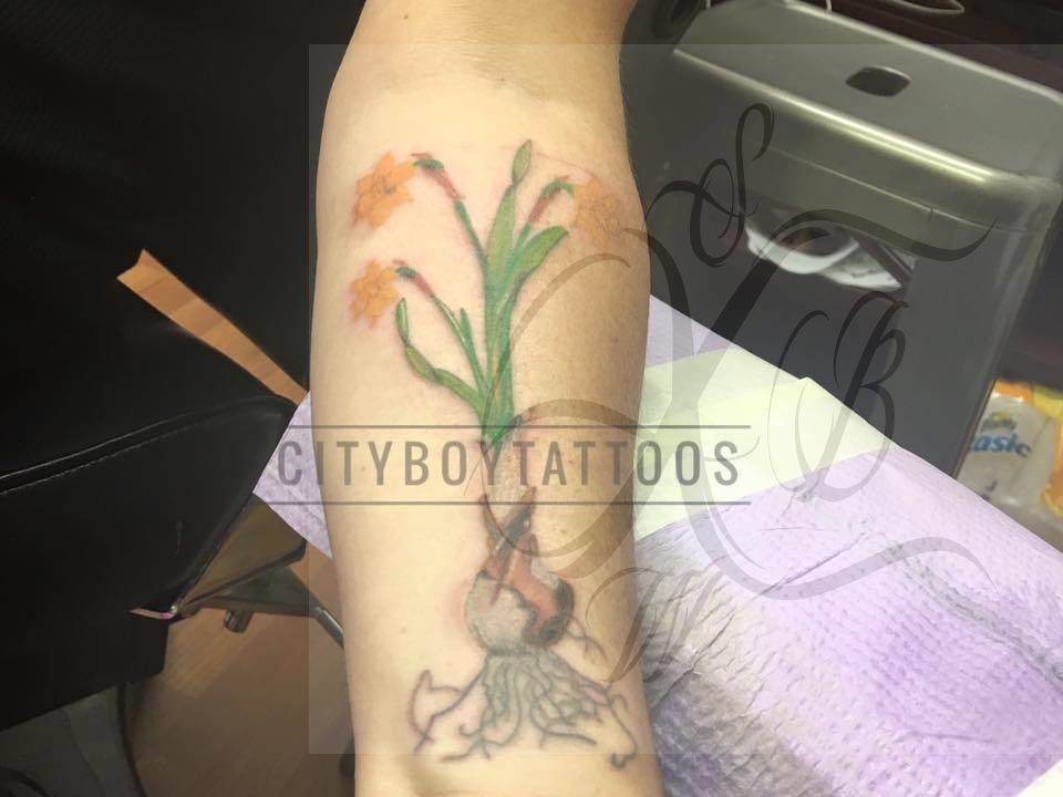 13528864_1701175340144231_3375486995458473507_n