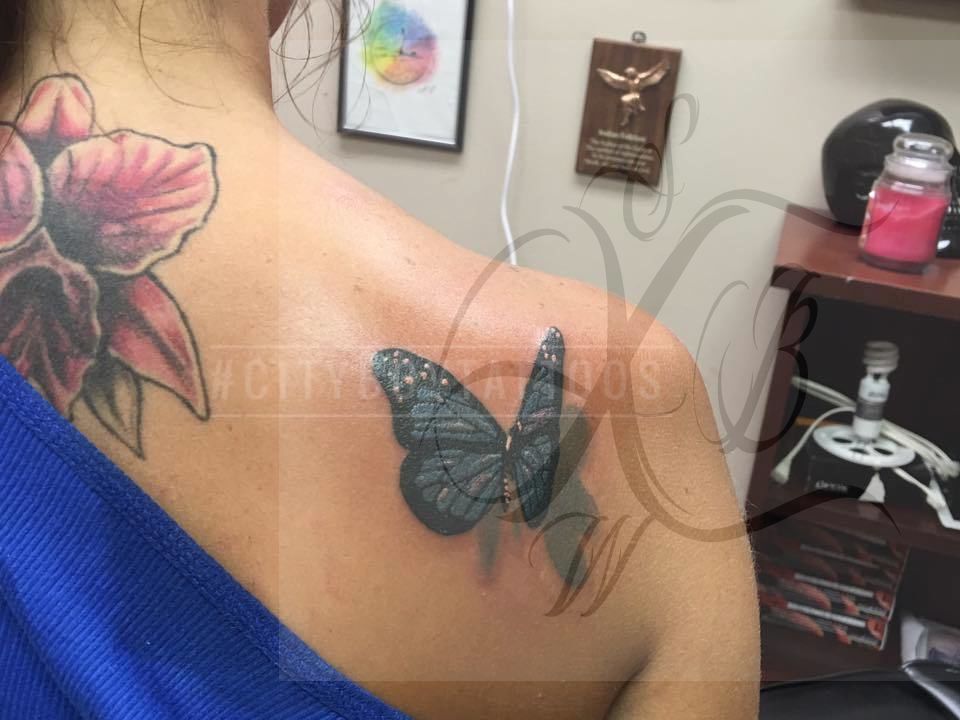 13537652_1154525027901931_7853691725903827468_n