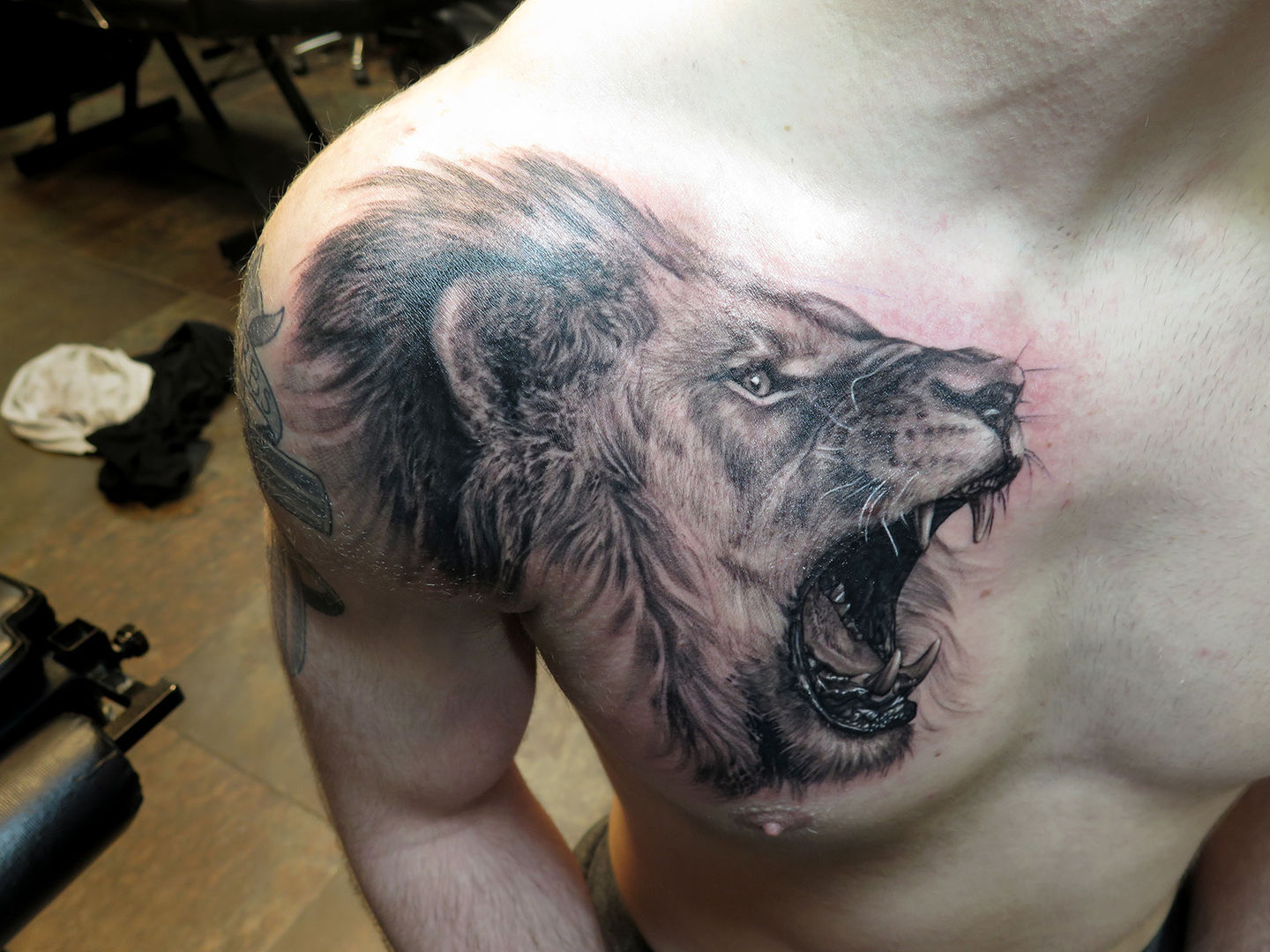 Lion_chest_again_web