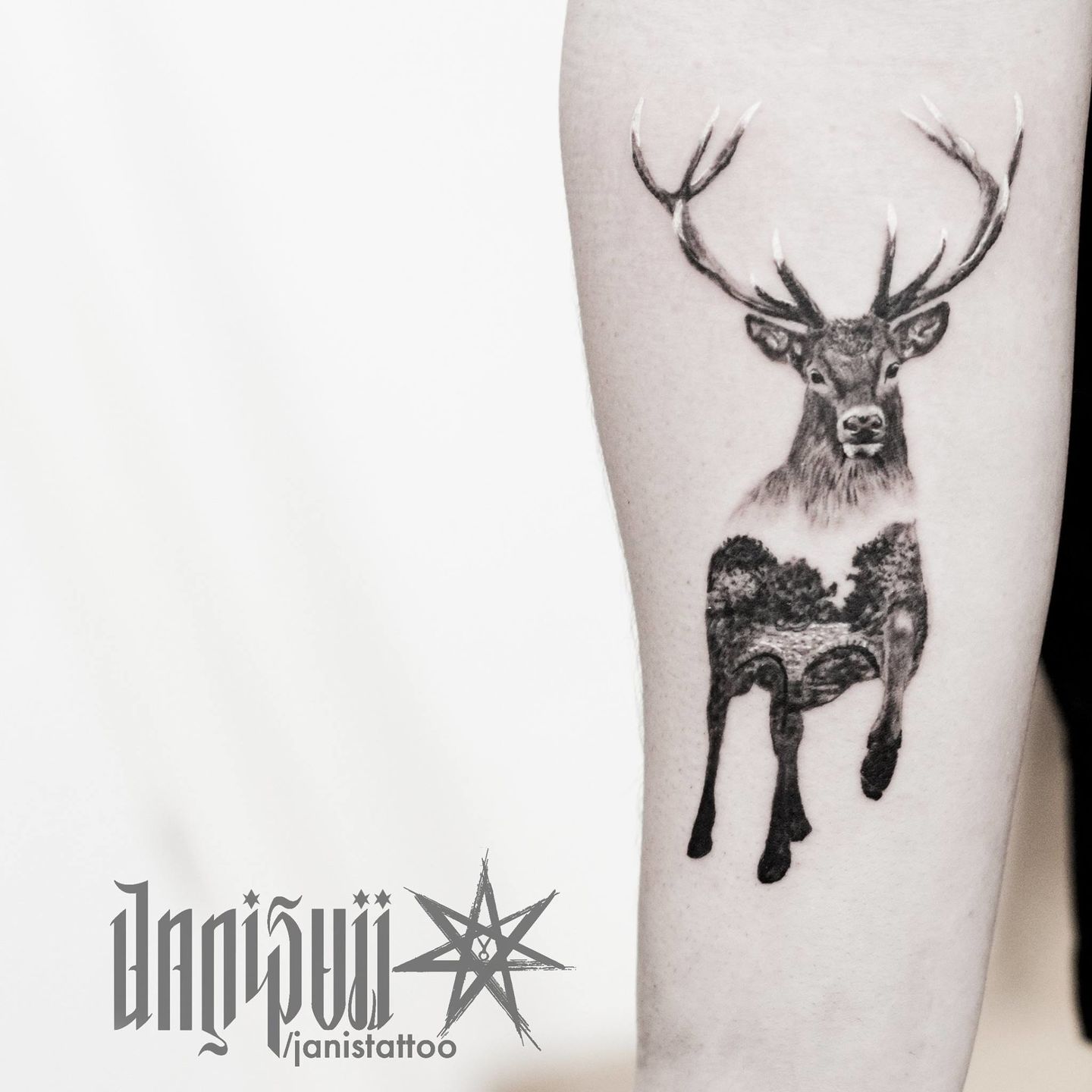 16463482_729893637168727_8881655650994868883_o