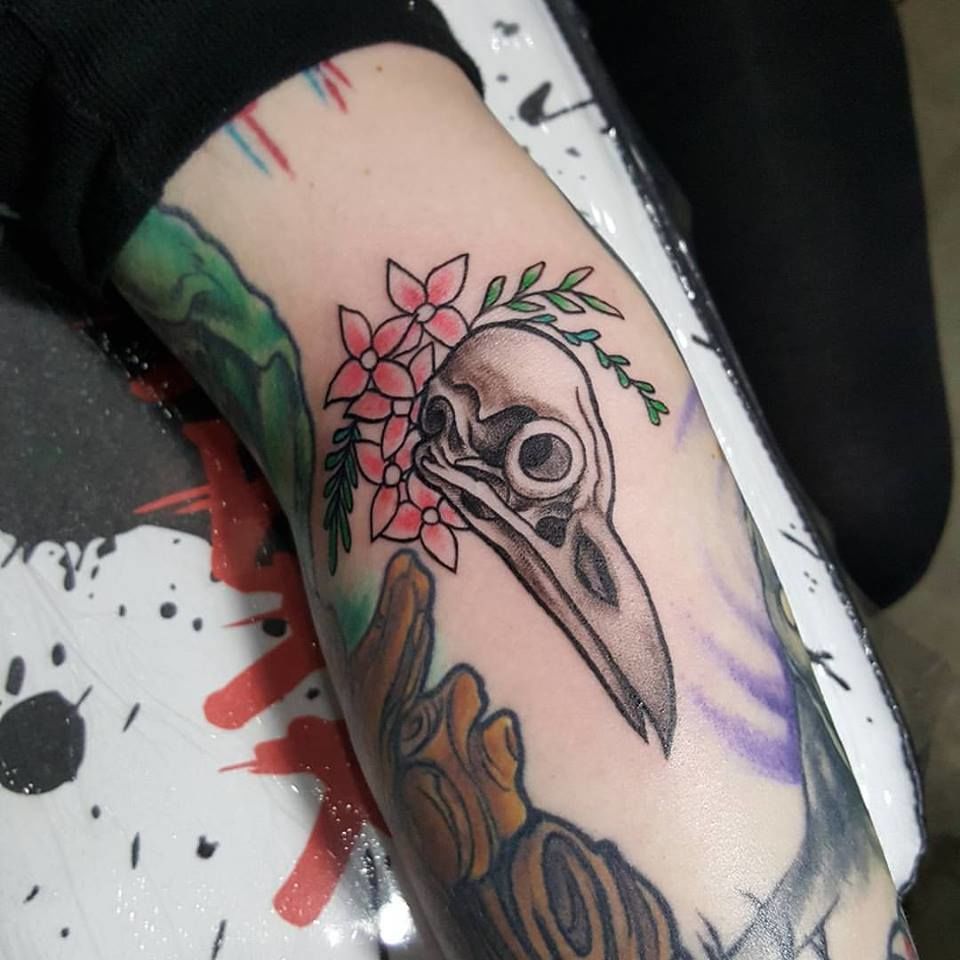Bird_skull
