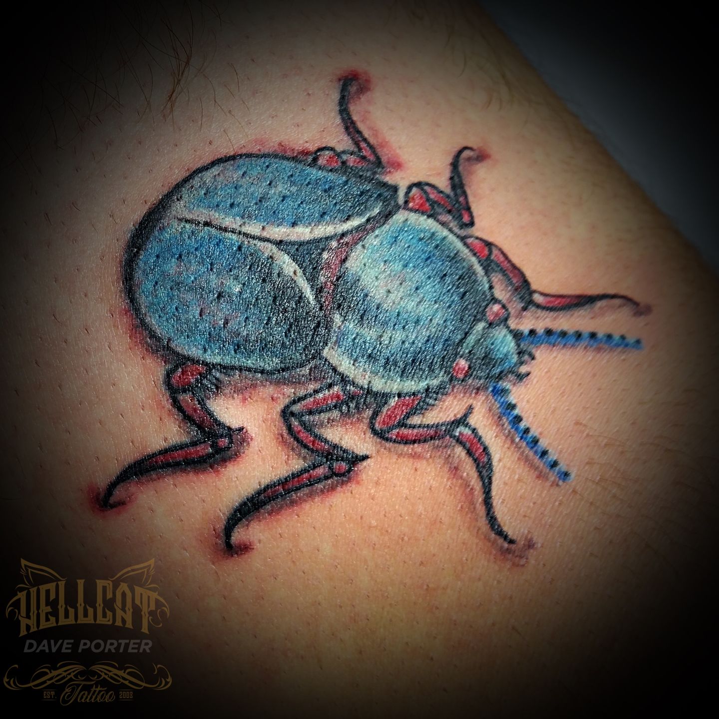 A7b00db0-4243-4467-86ed-8ed06bb53528