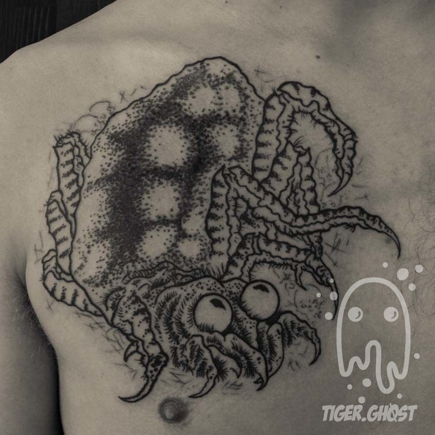 Zach-earthspider_2017_edited_no-watermark_live