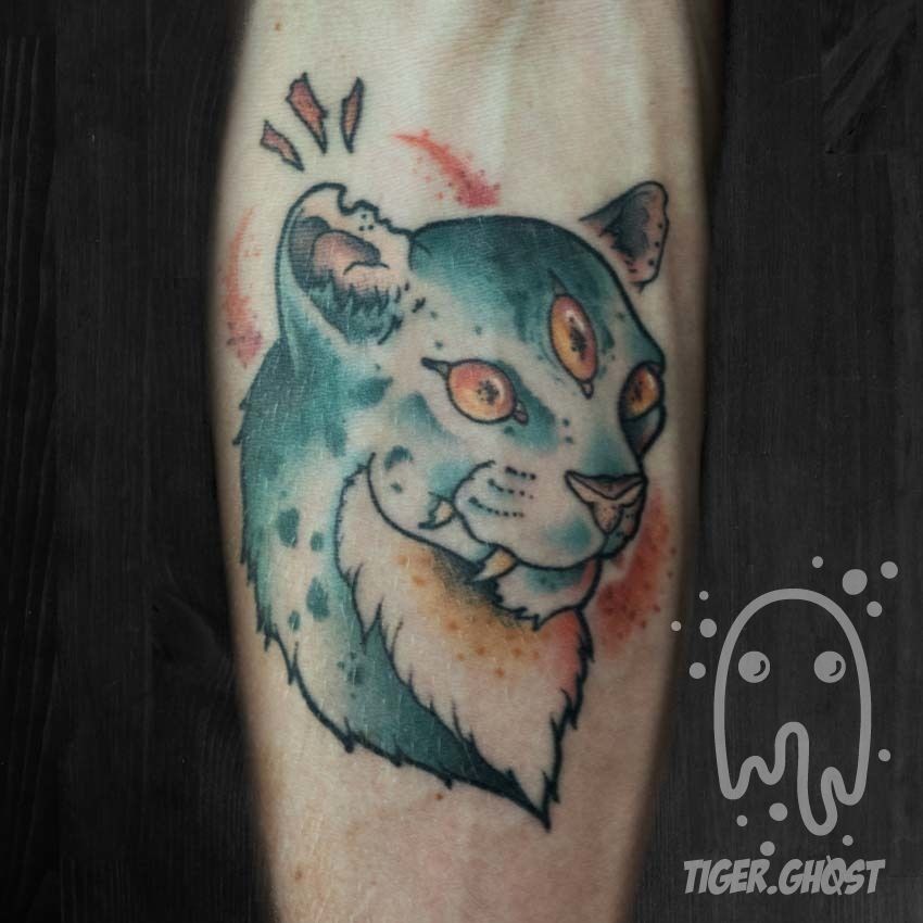 Sam-cat-healed_2017_edited_no-watermark