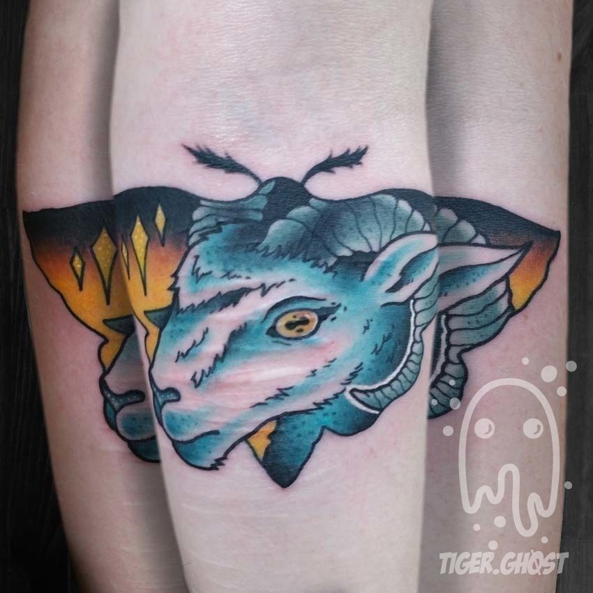 Goatmoth_2017_edited_no-watermark