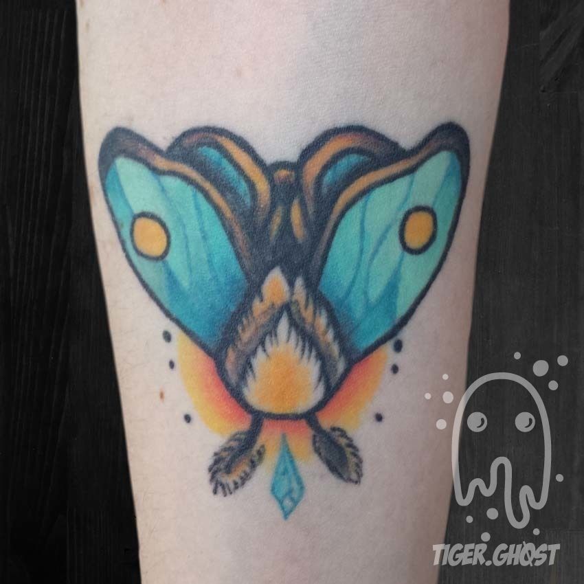 Amanda-healed-moth_2017_edited_no-watermark