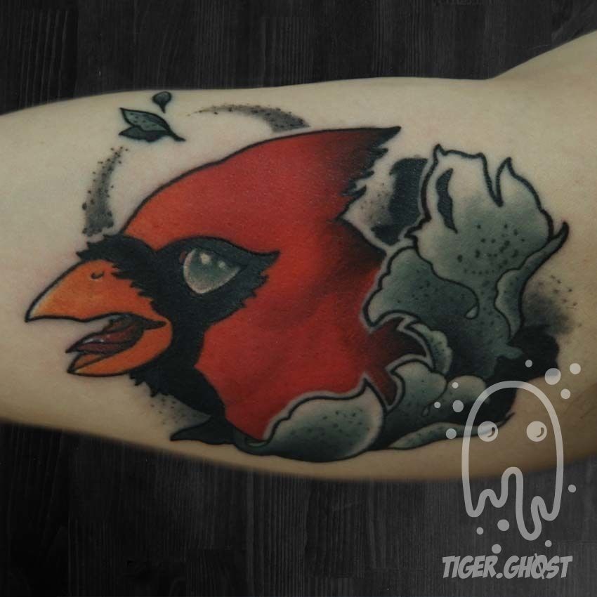 Adam-cardinal_2017_edited-no-withwatermark