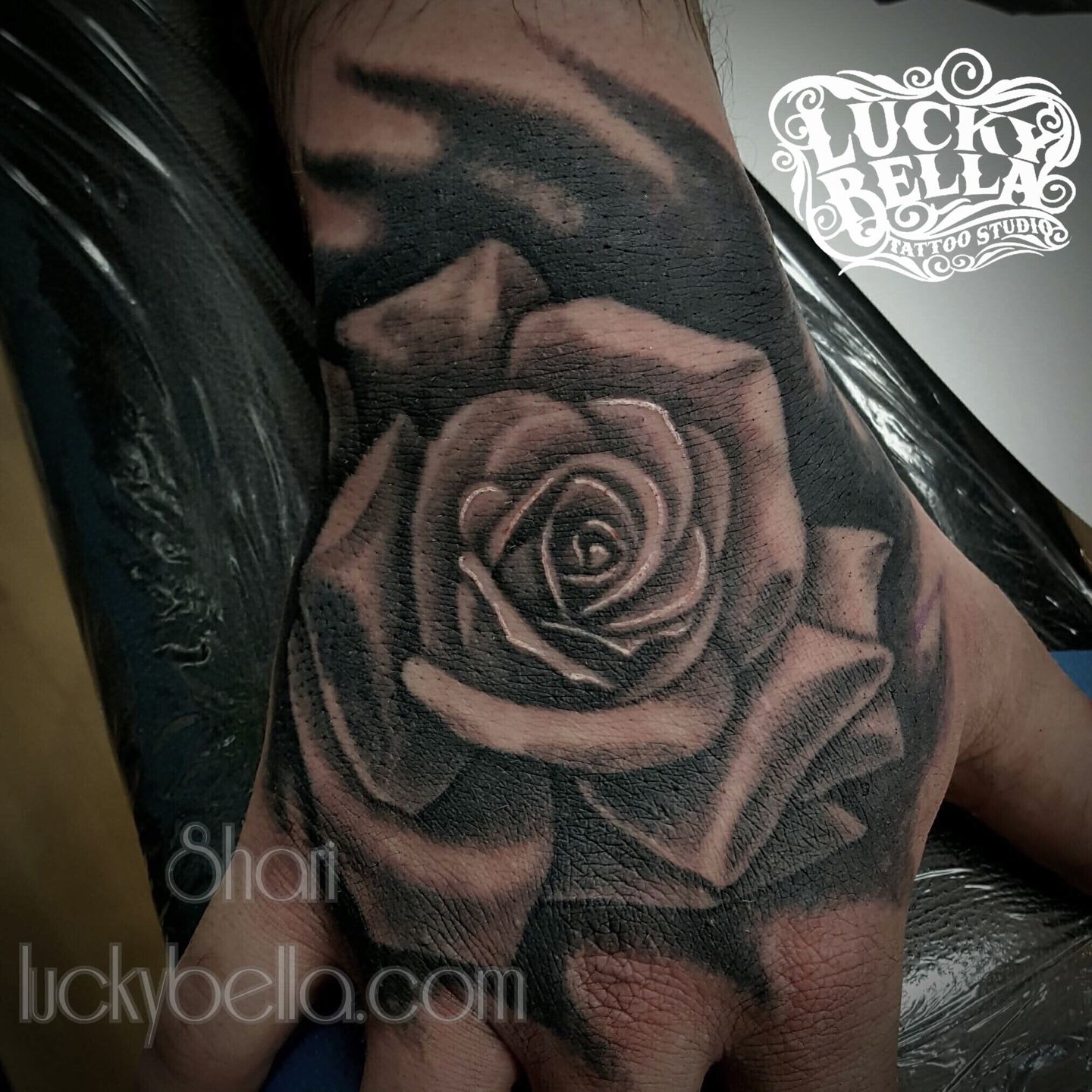 528e46f8-08b1-47ef-be5f-cf1df5718afd