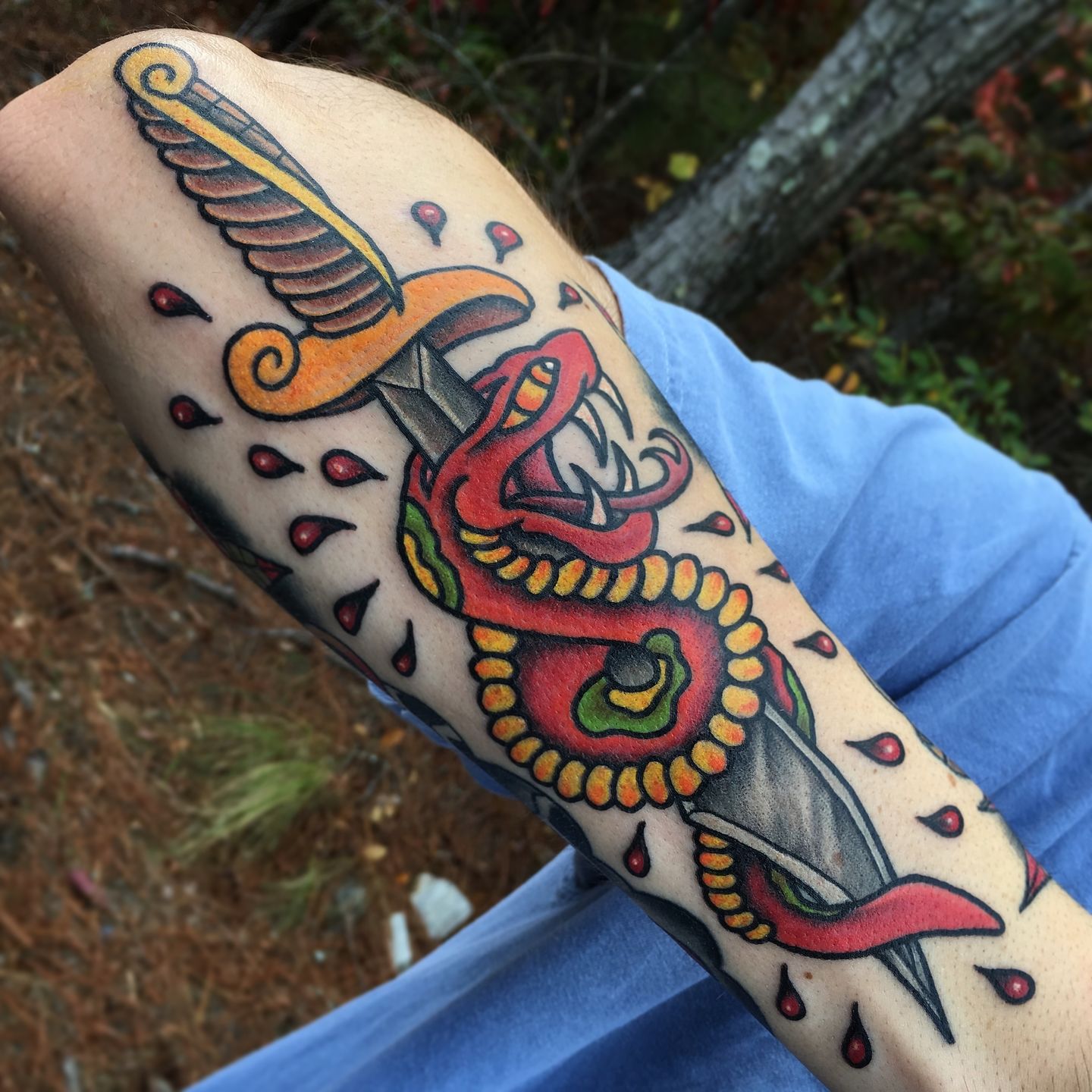 A9e2df83-0f12-49d2-842d-7c7d30aae4ca