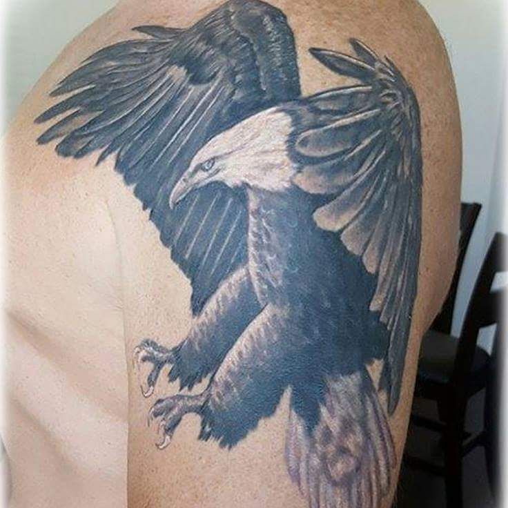 Bald_eagle_bydaddyjack