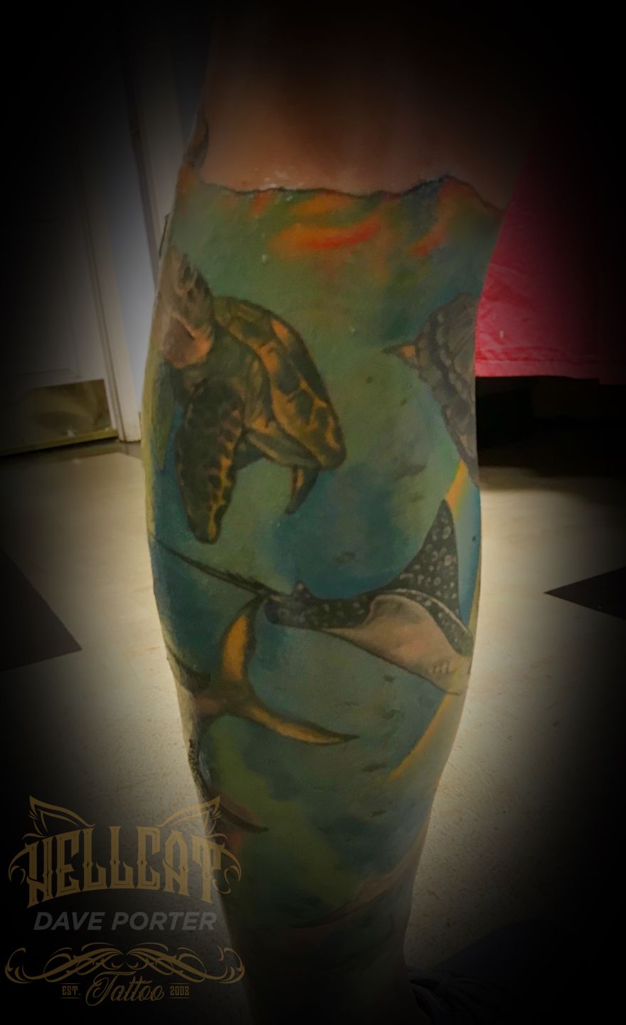 688fffa4-3954-4966-9230-39e3d86104af