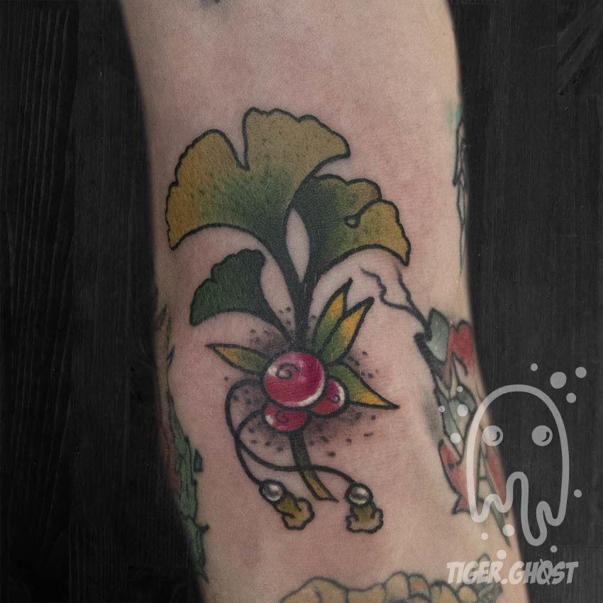 Sam-10-17_ginko_no_watermark