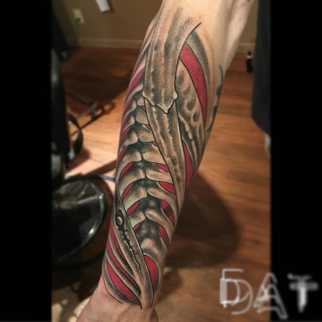 20248359_1918611385079269_4573393386430594626_o