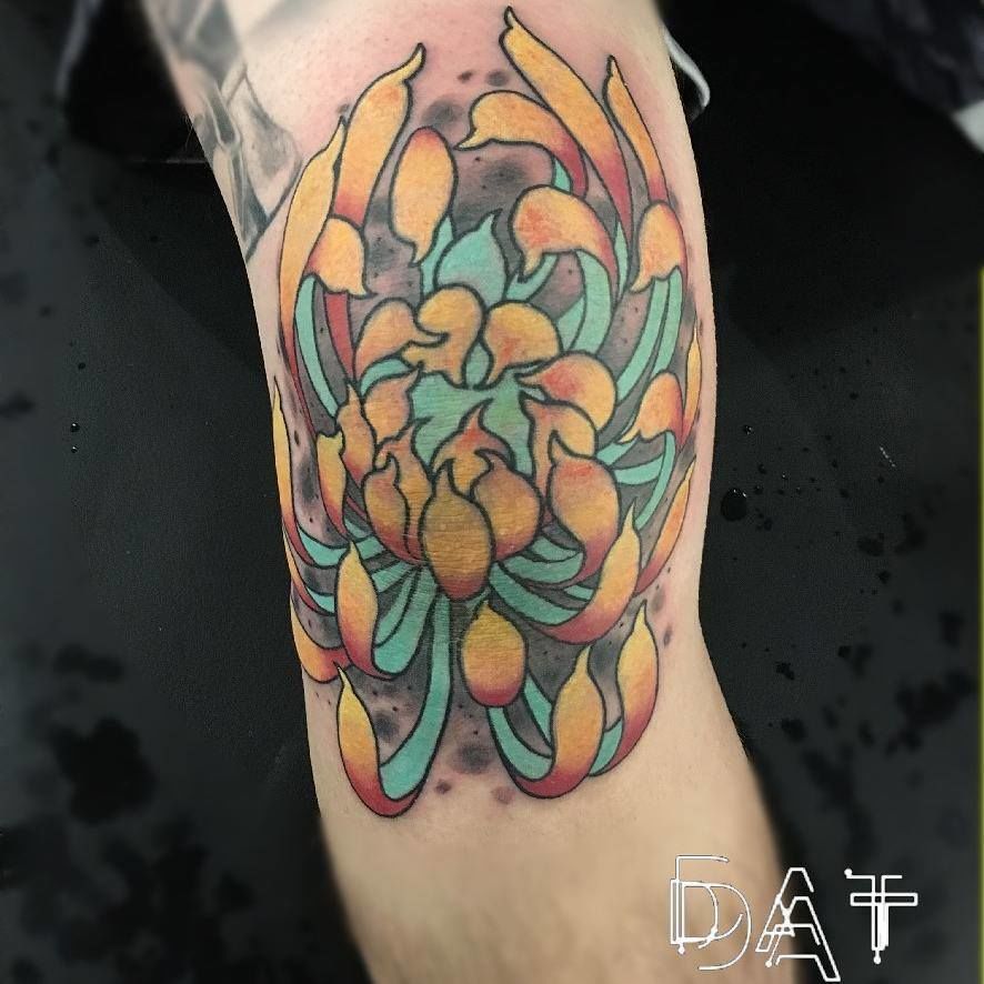 18813396_1898018917138516_2494384042605488084_n