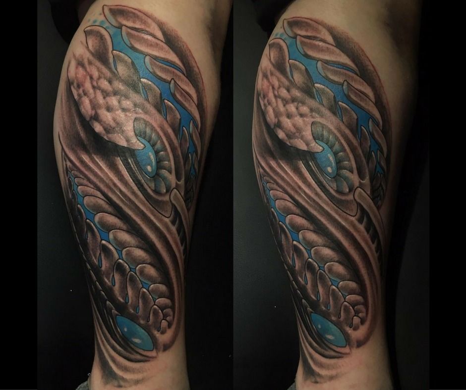 14642112_1774065452867197_6615519917385003364_n