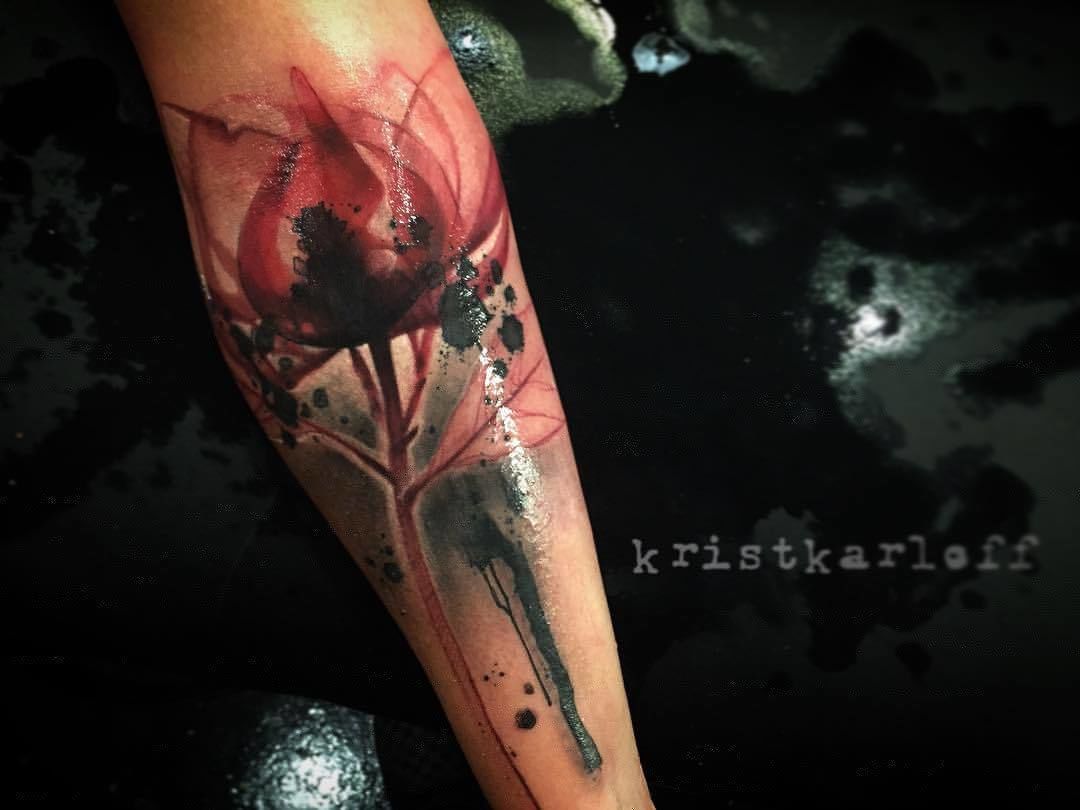 1309814379563008501_21759291