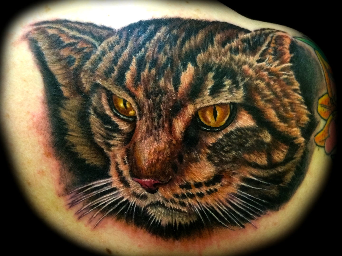 Las-vegas-tattoo-artist_joe-riley_cat-tattoos