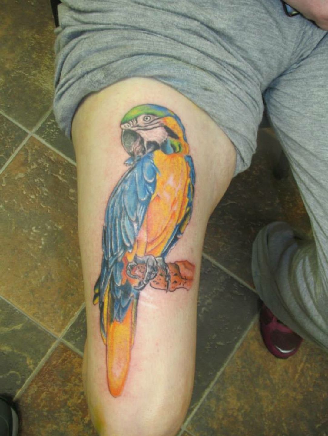 E602bde3-2226-4e94-939b-74ada5187208