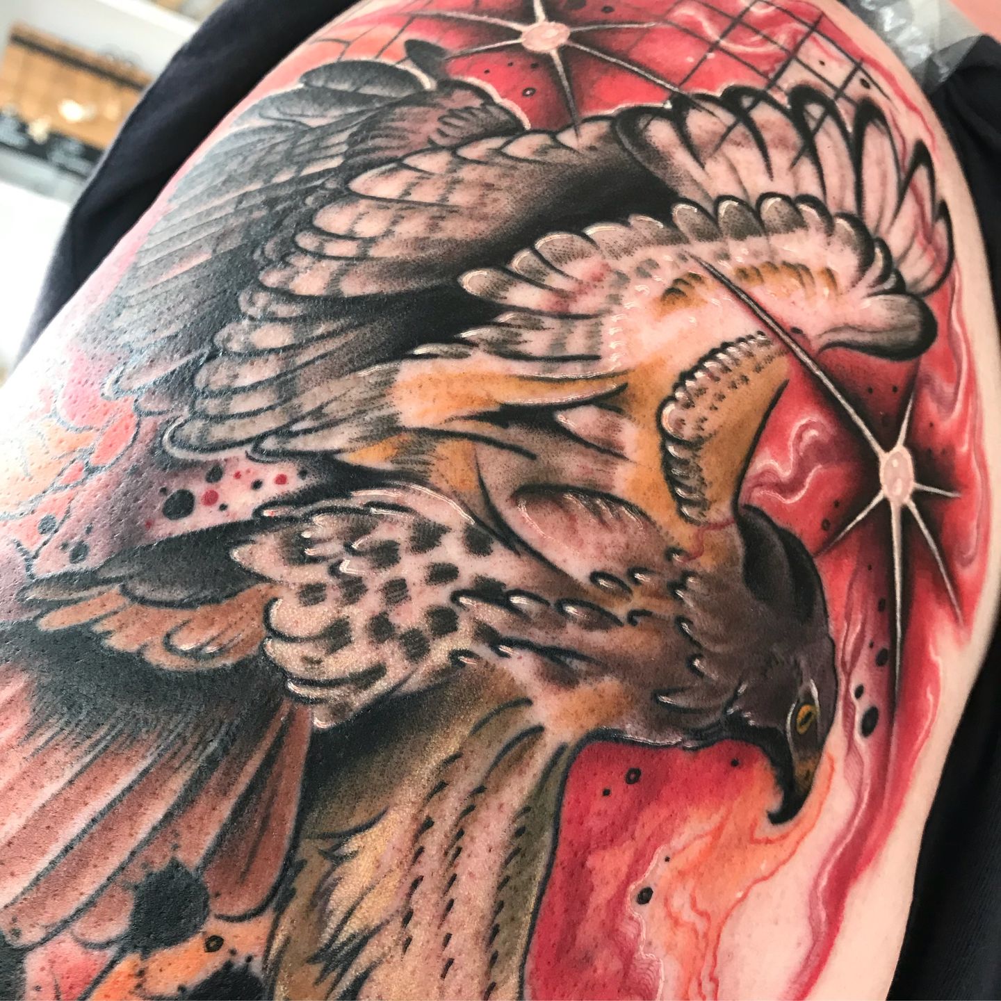 0343dbc7-aa3a-42b7-9ed7-228ebfbb4ce4