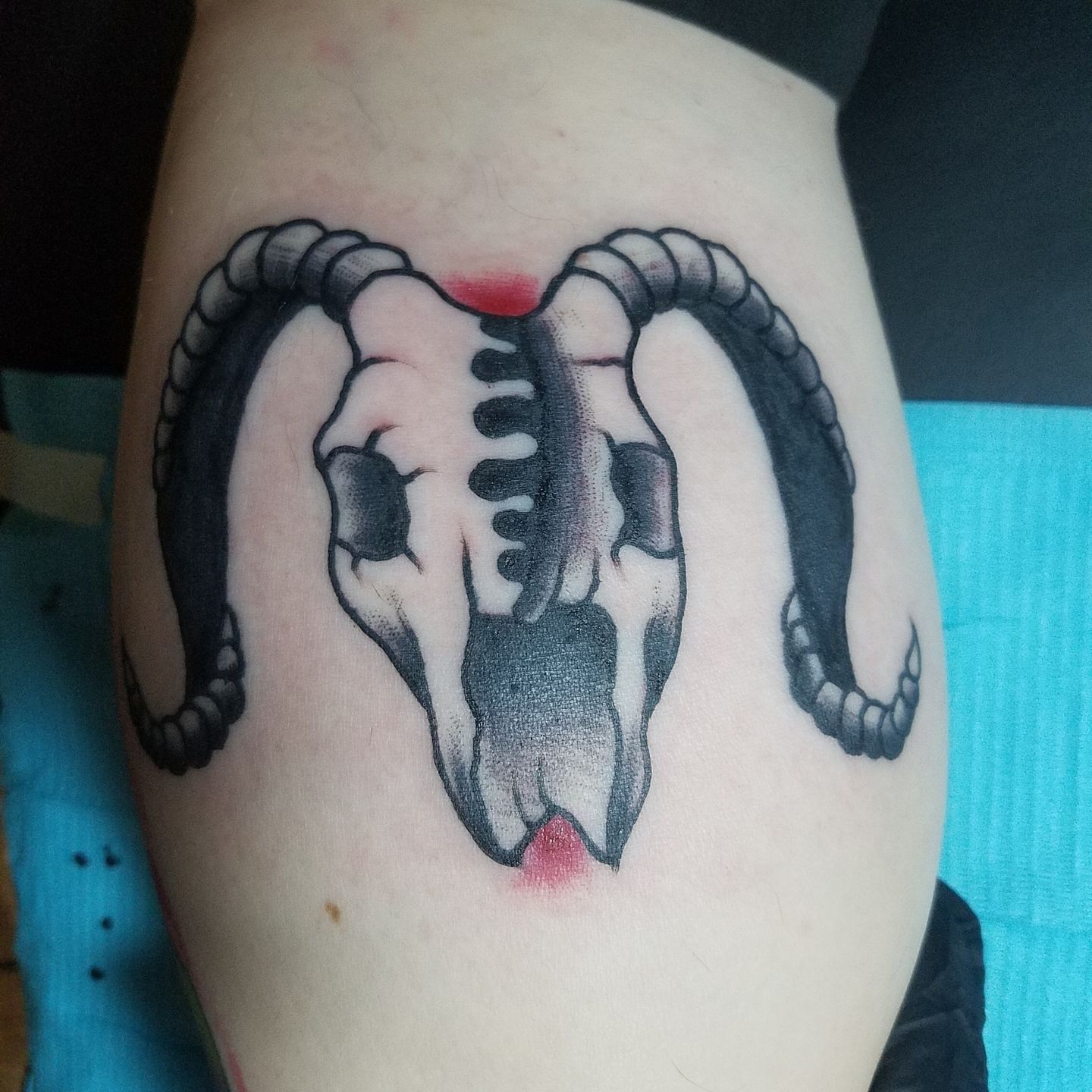 Img_20170821_210132_425