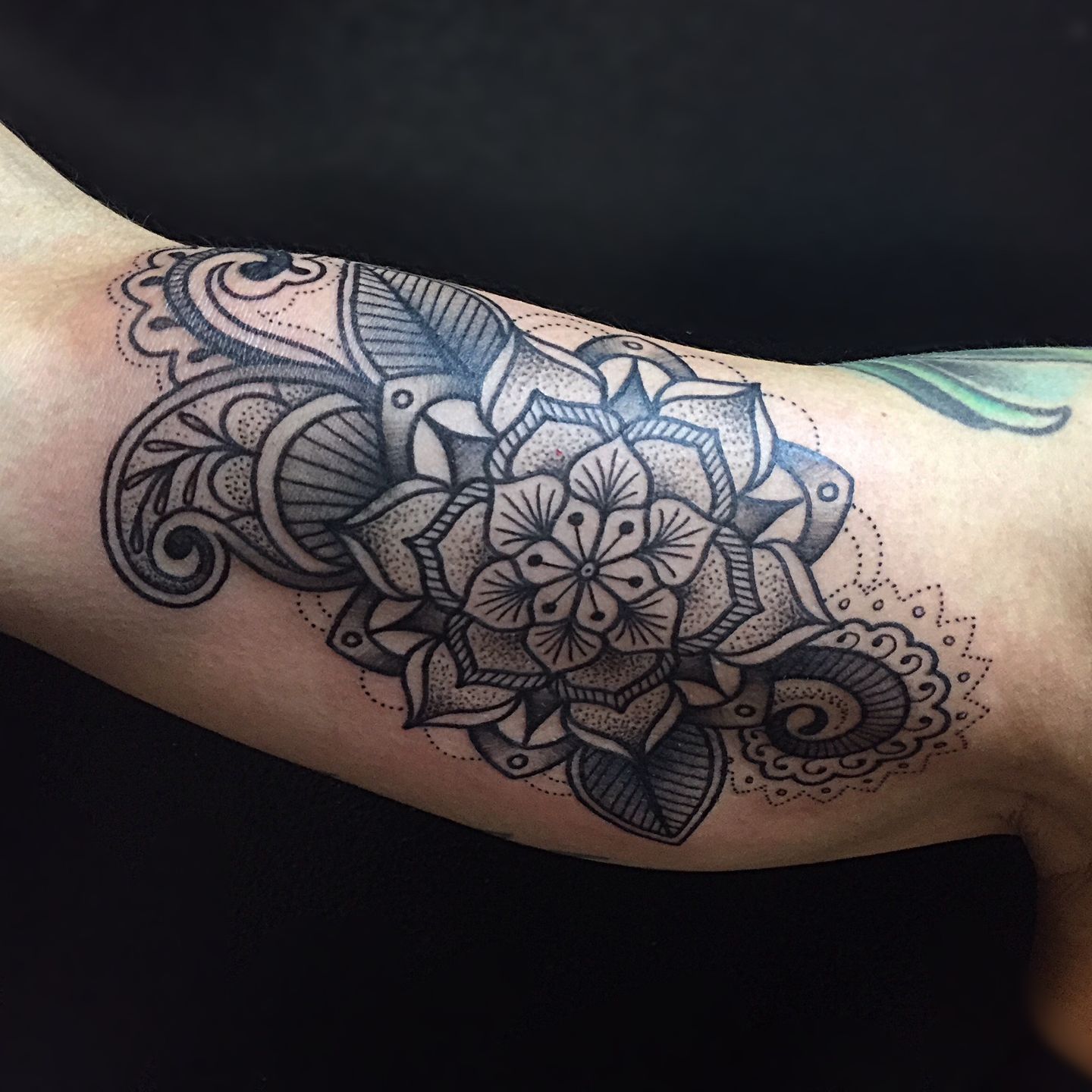 8768068f-73a2-4ae3-b014-66523bc6e1b5