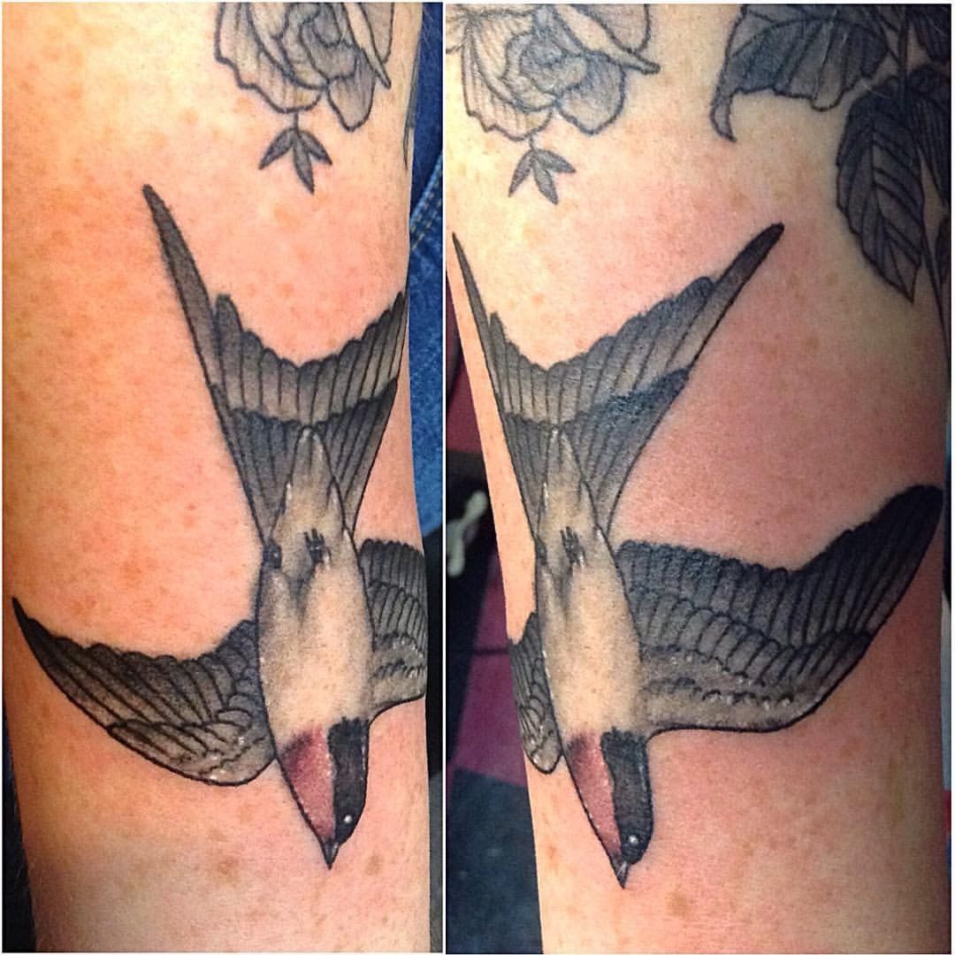 78dbc39d-05d3-47c1-bd13-d5d24be7e69b