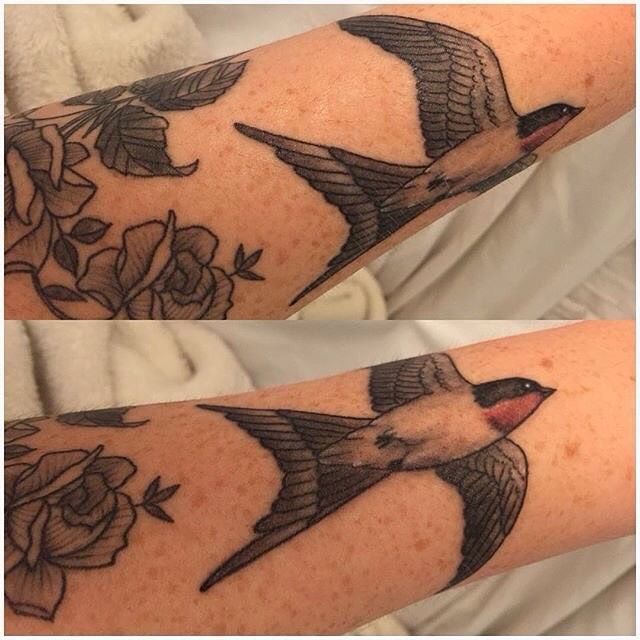 403b2aa9-63cf-450d-a8b6-0f08a090ecc2