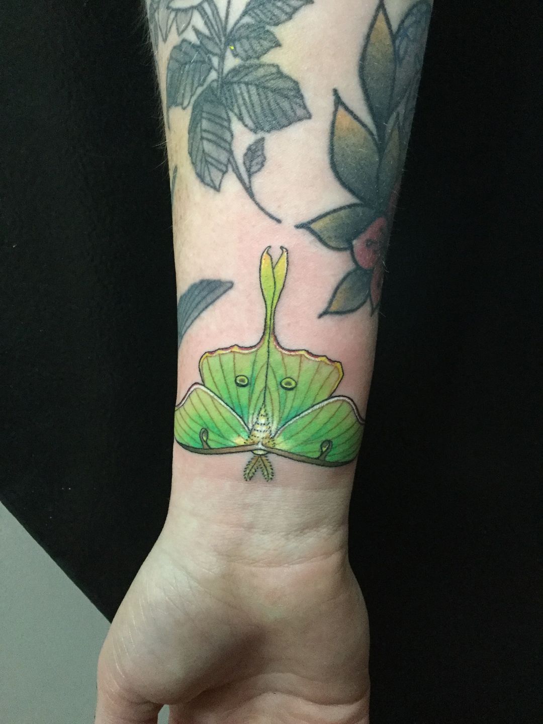 03113a07-1355-42cb-b891-072ac8b8f6ab