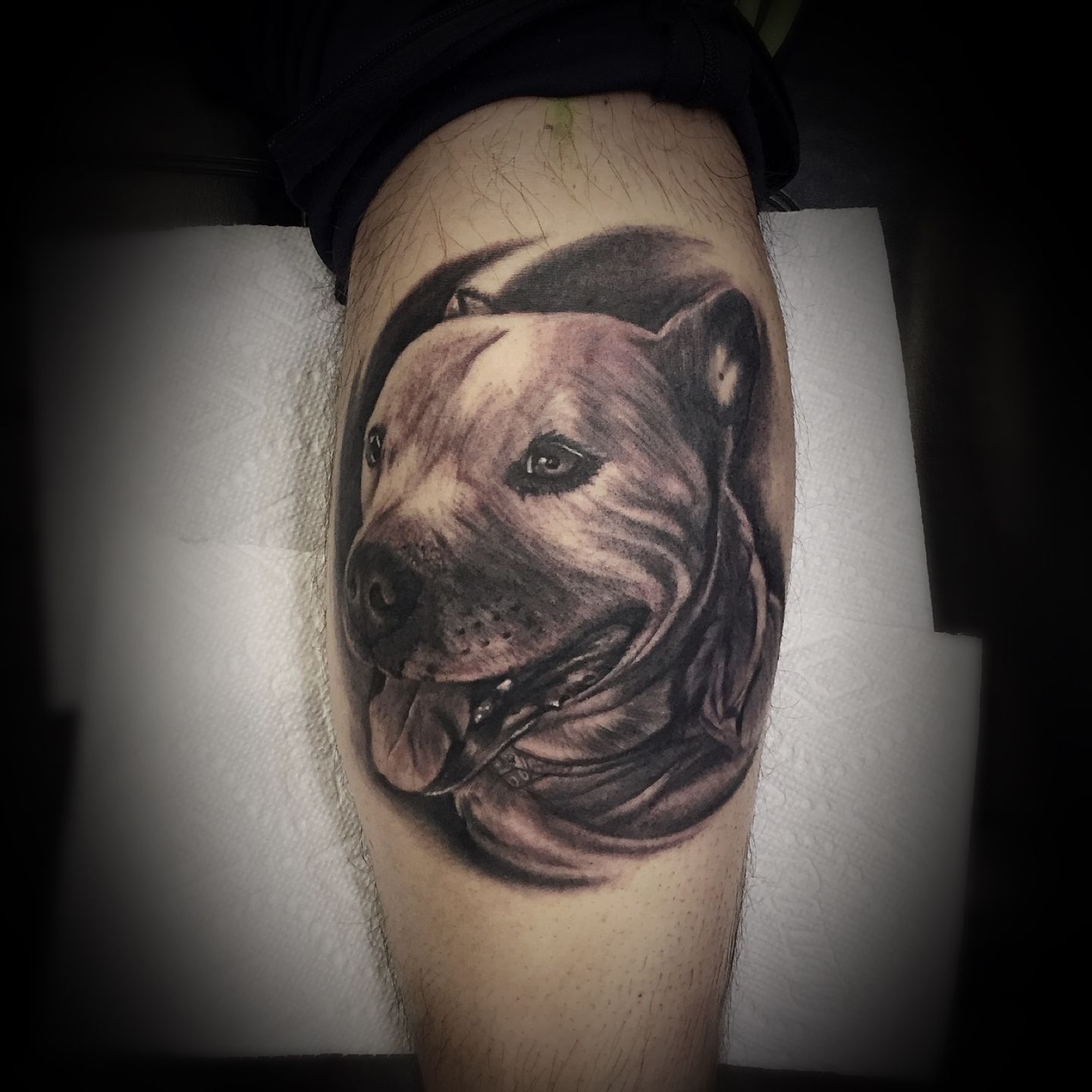 D3292d63-9651-4c91-a401-0719a9d59b2c