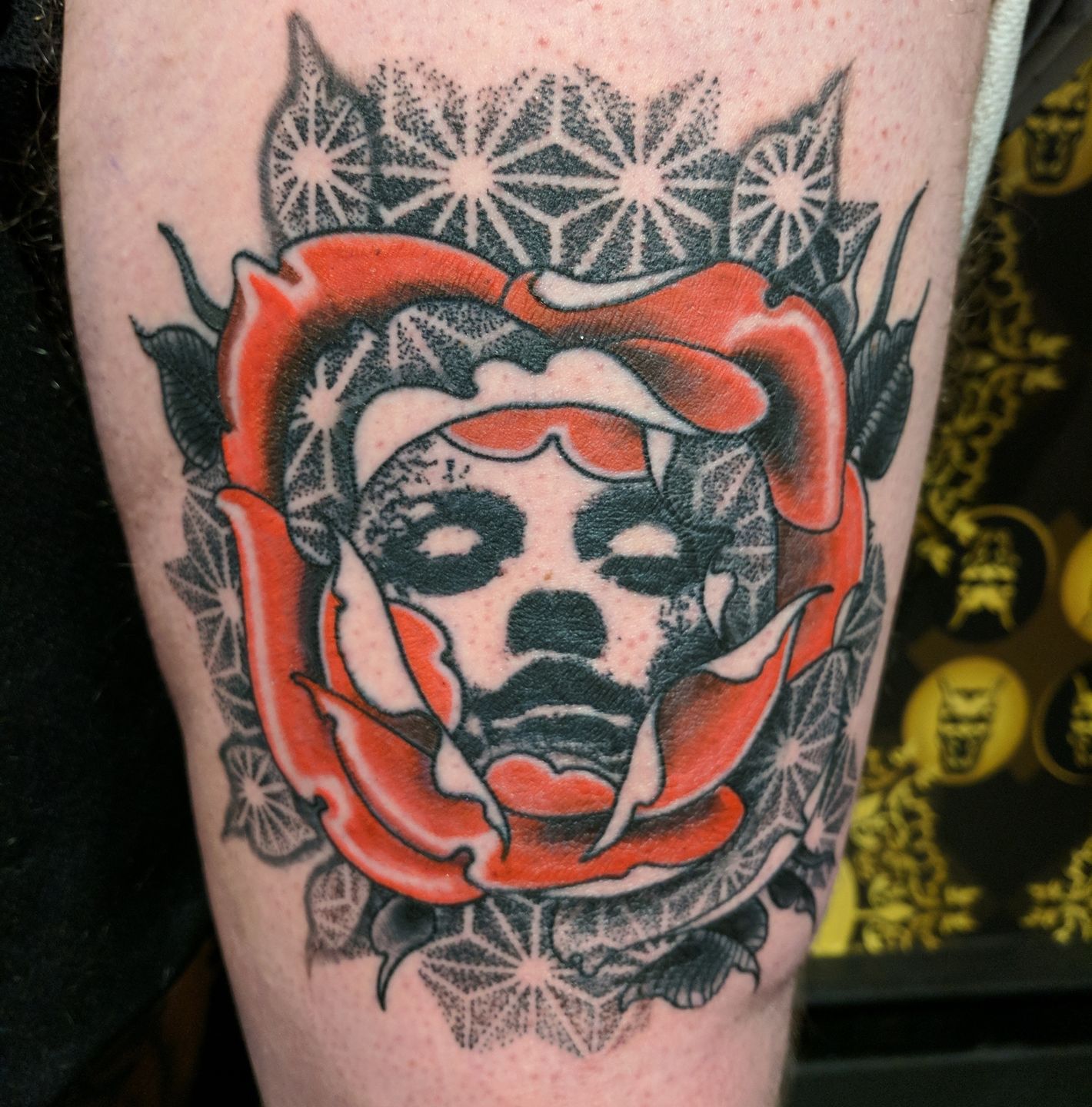 Img_20171115_213706_313