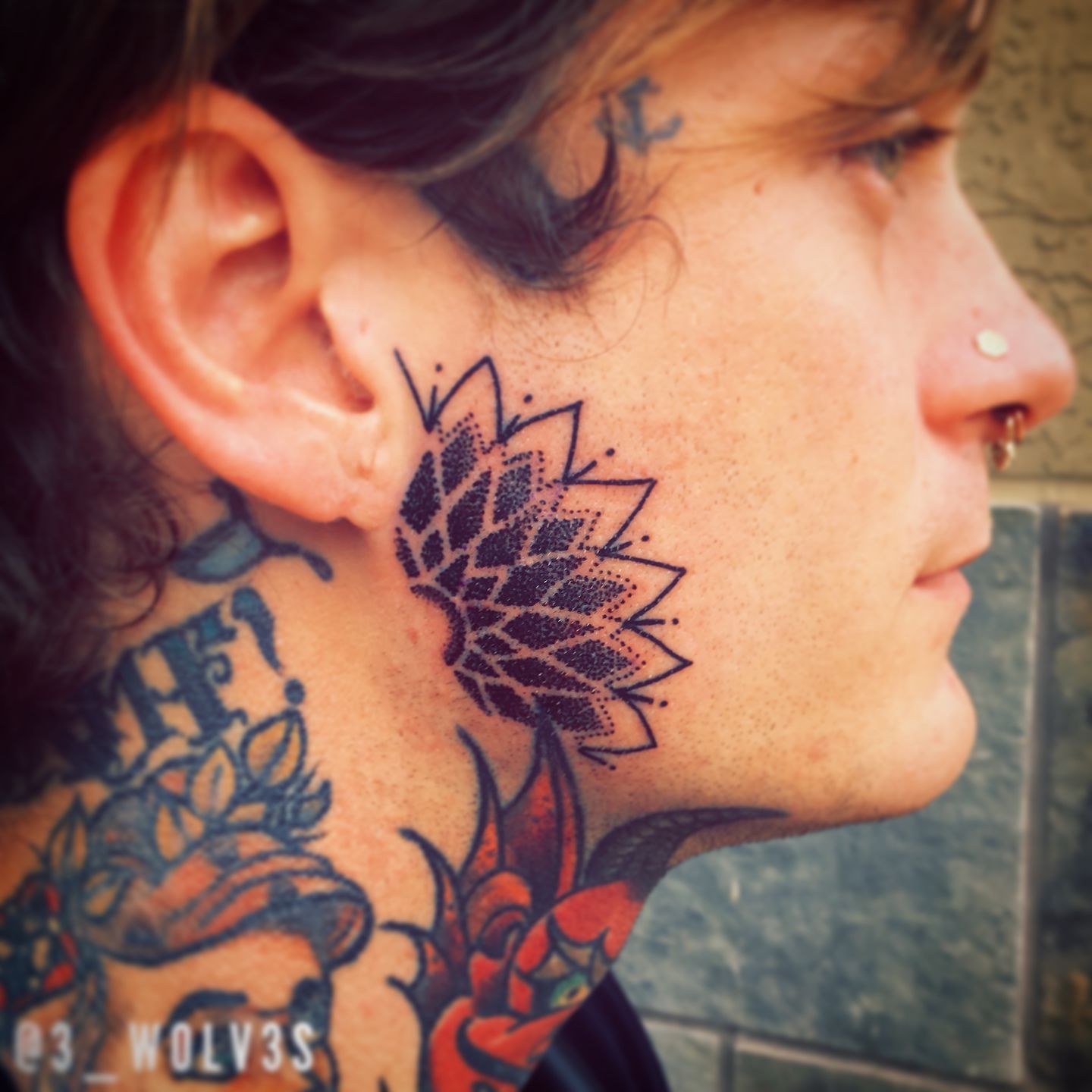 094e0aab-2bbe-4ced-b918-9eb7a56b5f3b