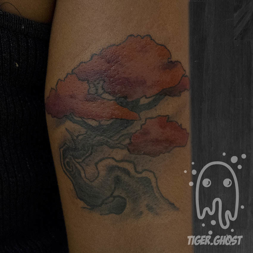 Bonzai_1-18_full_with_watermark-print