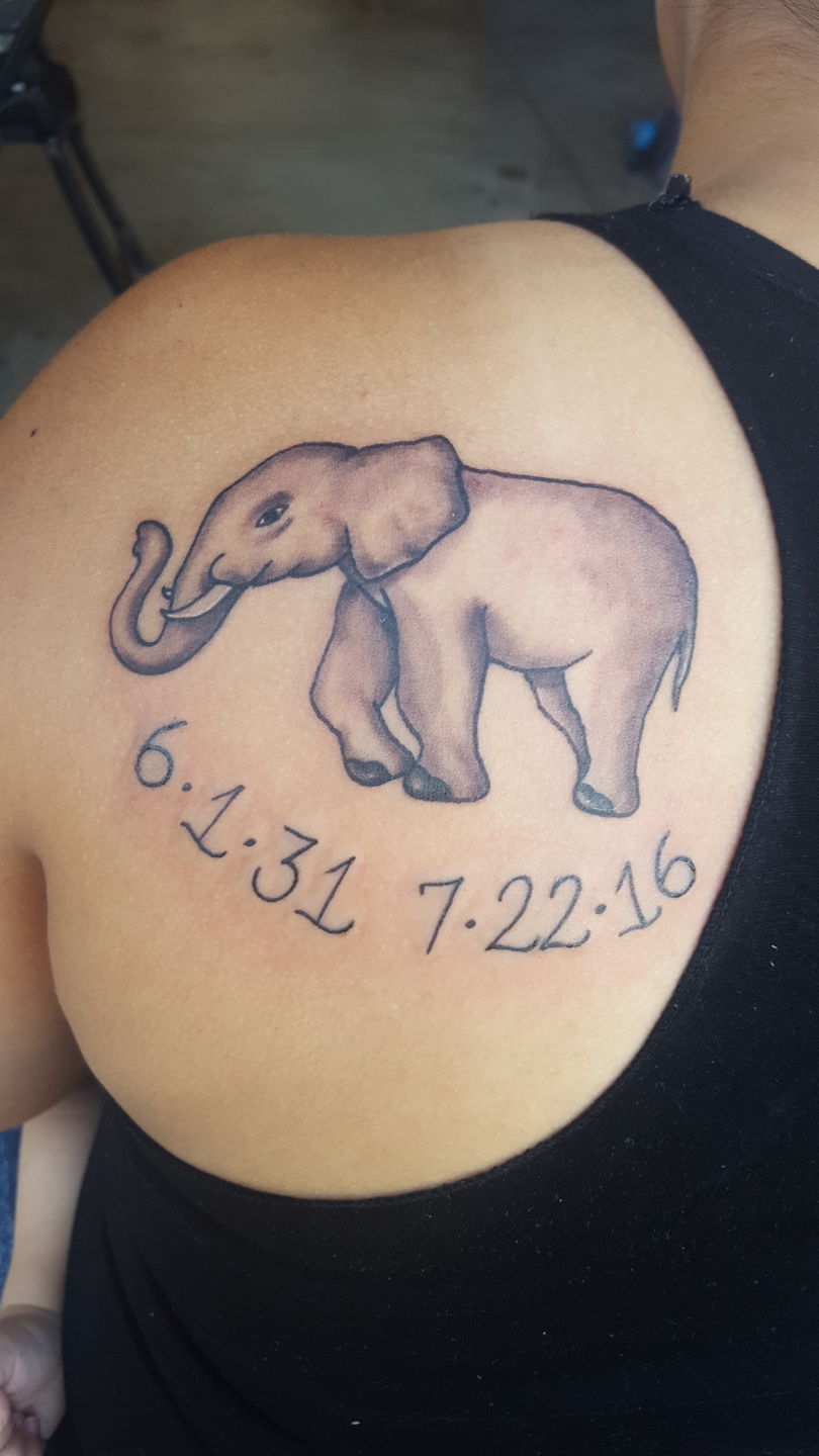 3de2fbde-c9fd-4c58-9dc8-c3eb1414b4e2