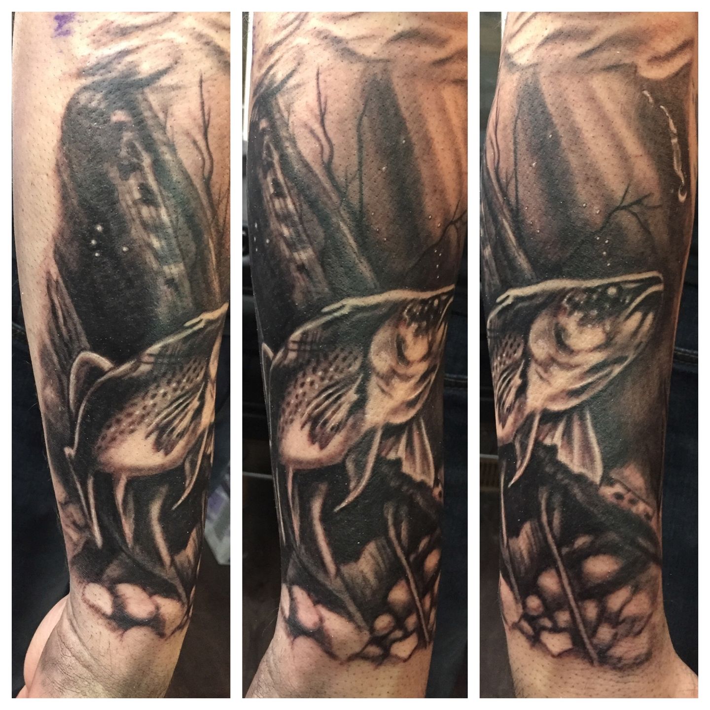 Fda496fc-fe00-47c6-98f9-bde4c3b33706