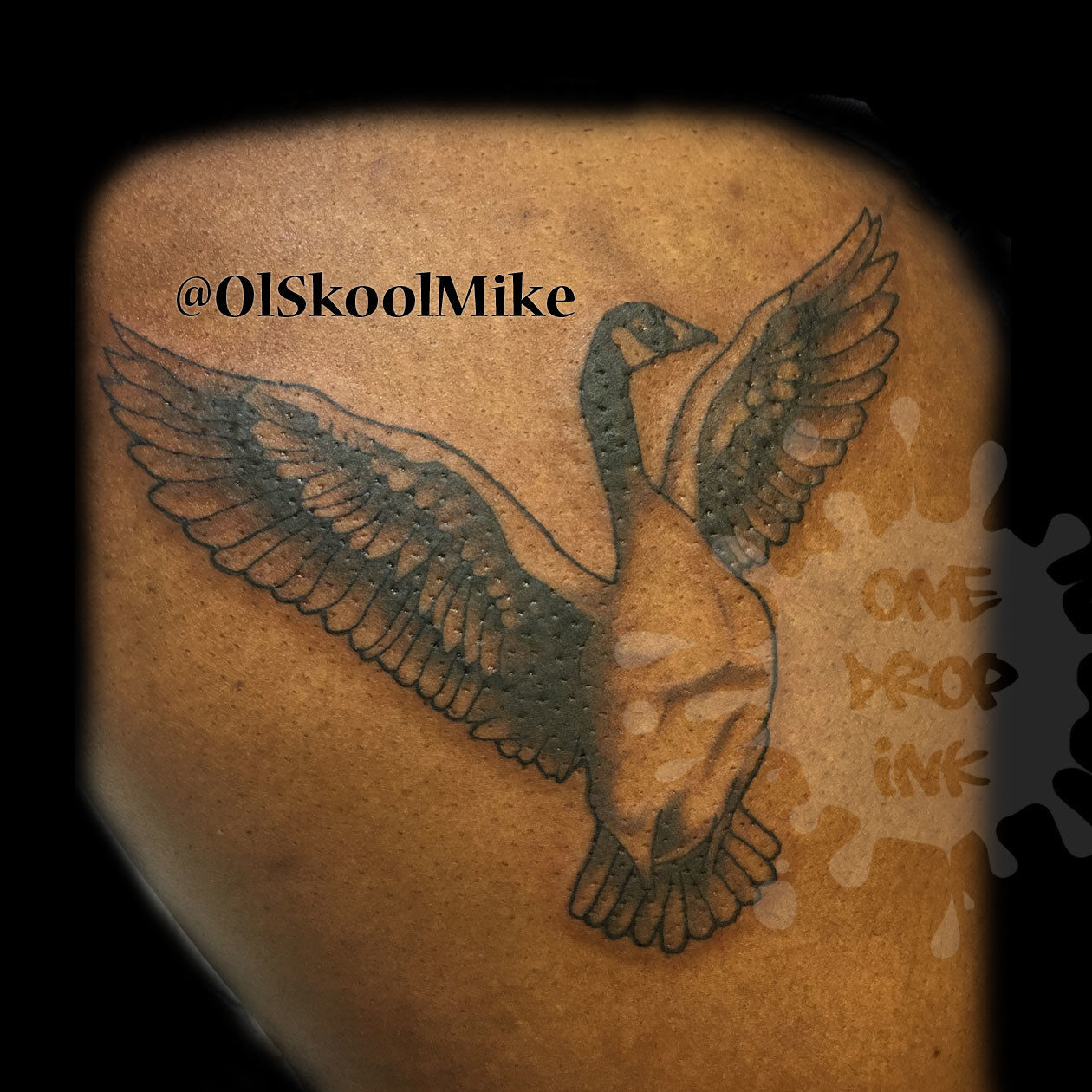 Olskool-canadiangoosethigh-watermarked