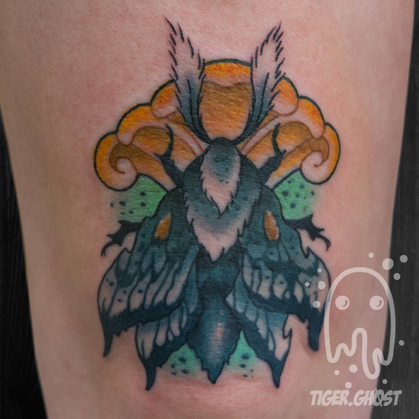 Kimmy-3-18_moth-without