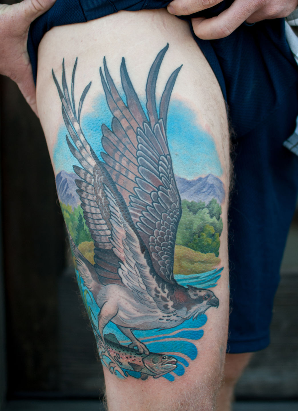 Brian_simmons_osprey