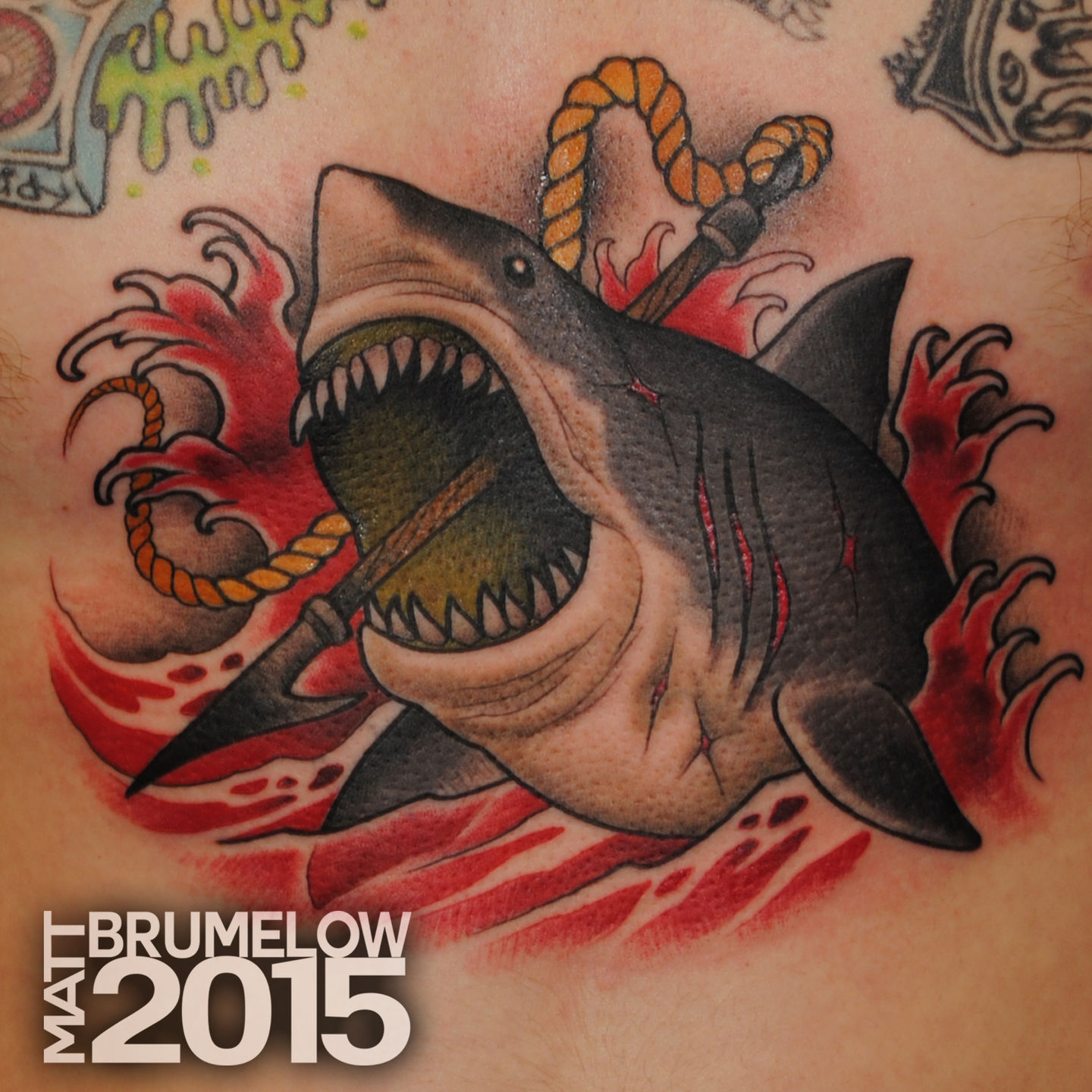 Shark_sternun_david_carter