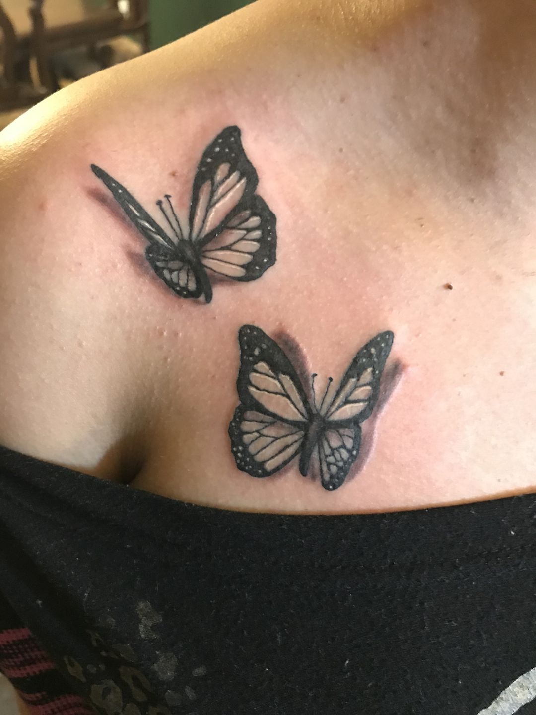 95c91dcc-822f-4b9b-82f3-aa28a2ab727e