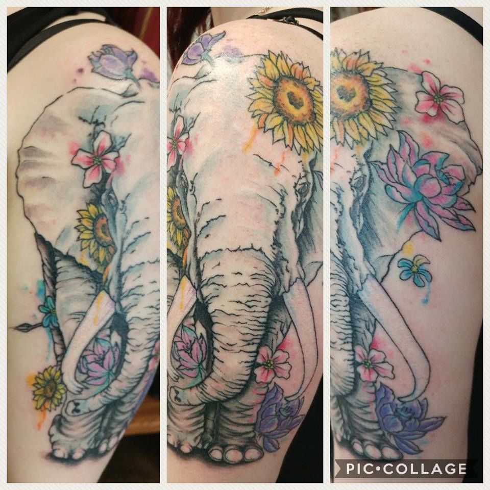 19601155_2013128715587750_8734716711890485602_n