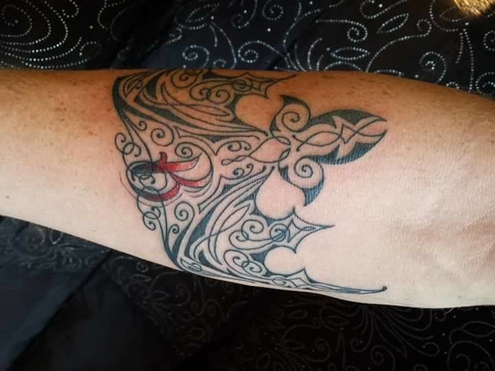 14724525_1877952859105337_5276493400121770271_n