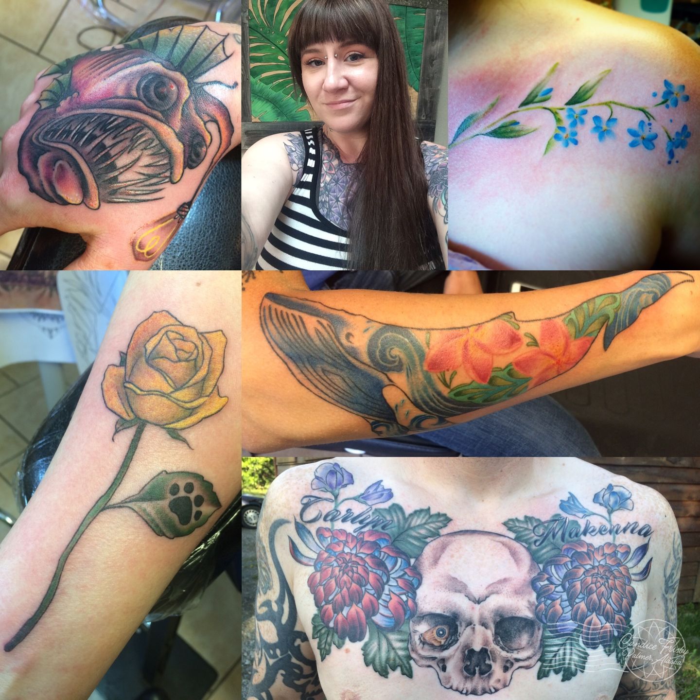 9d1fbe76-5f1e-45f7-918a-c9a1a6e13d5c