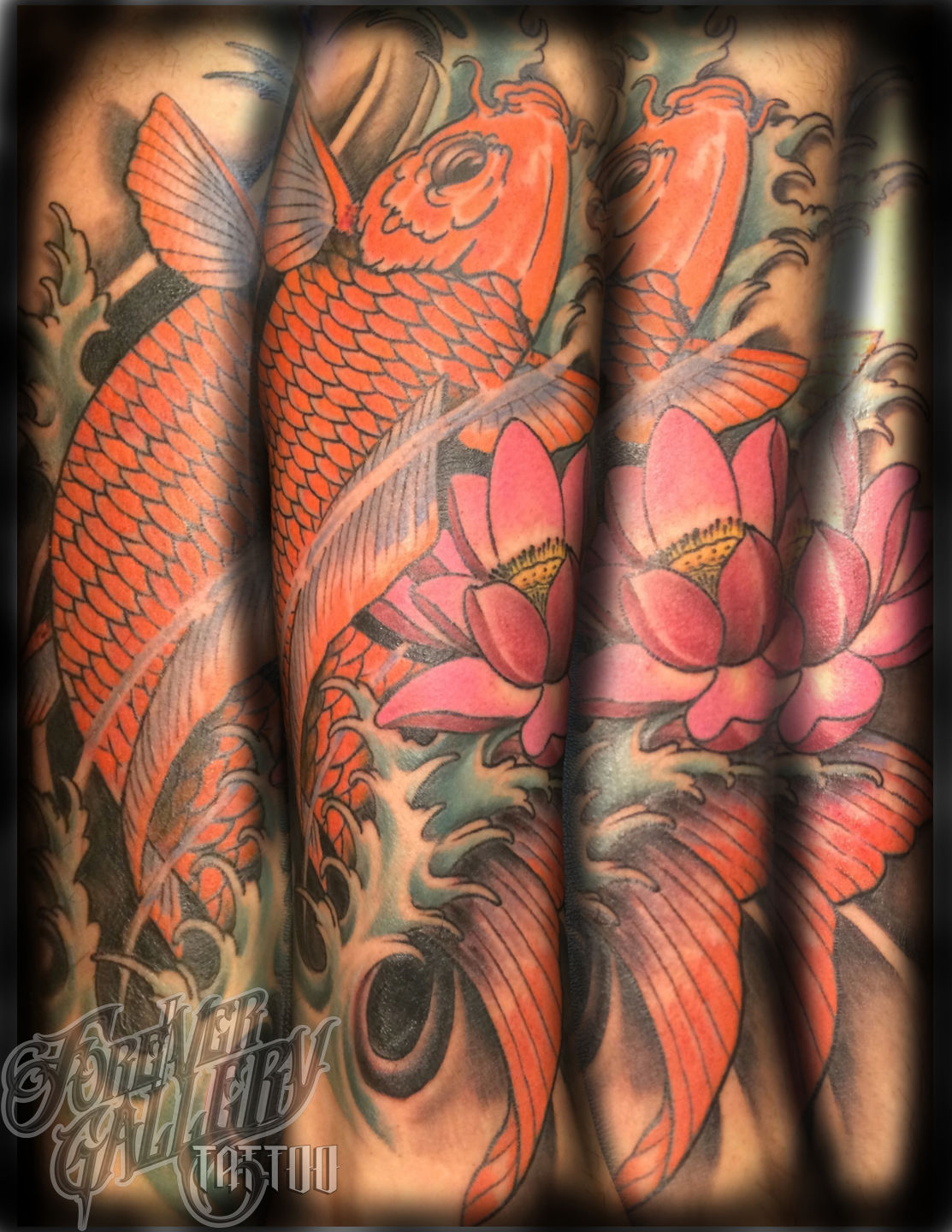 Koi