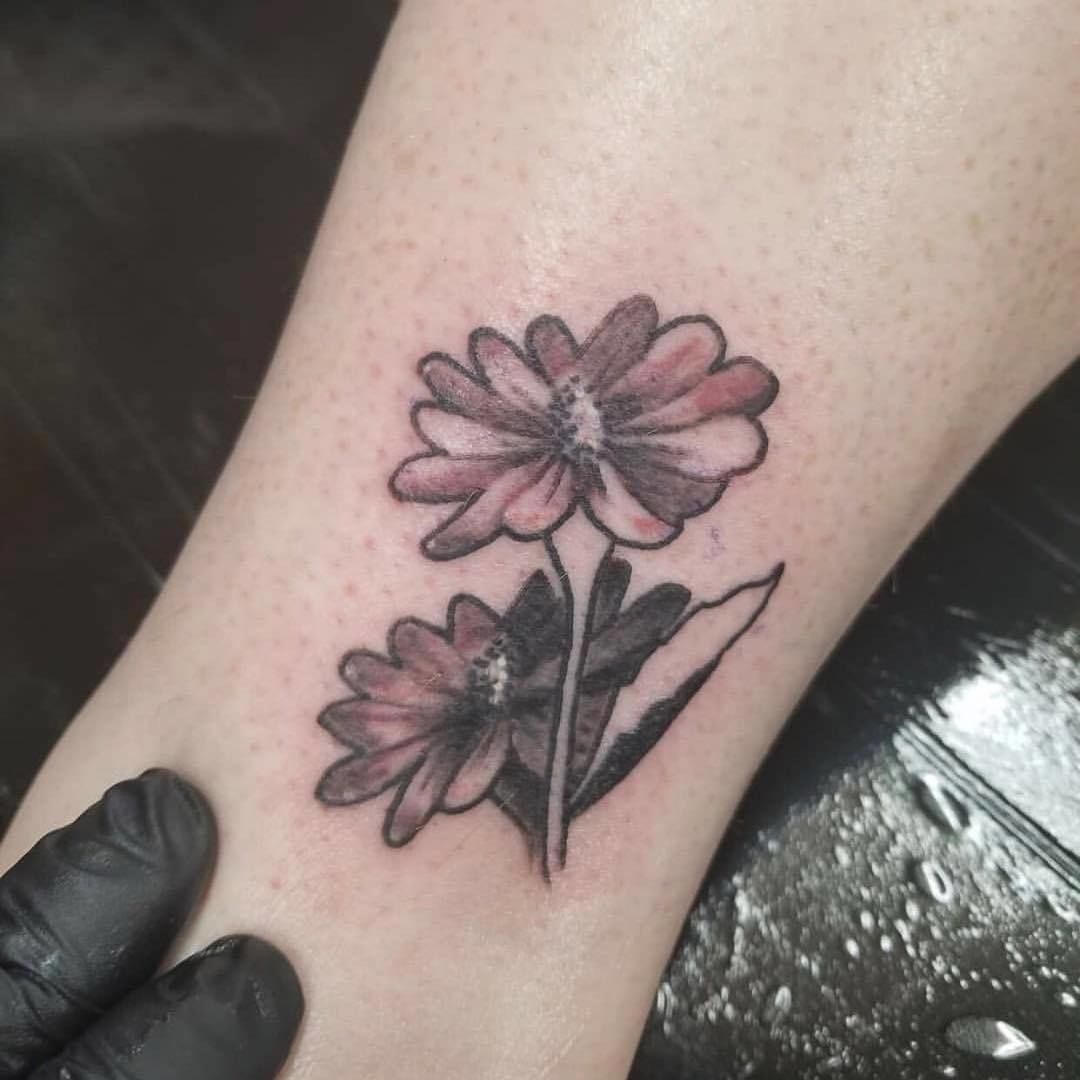 32907052_1643293275719628_13480802830516224_o