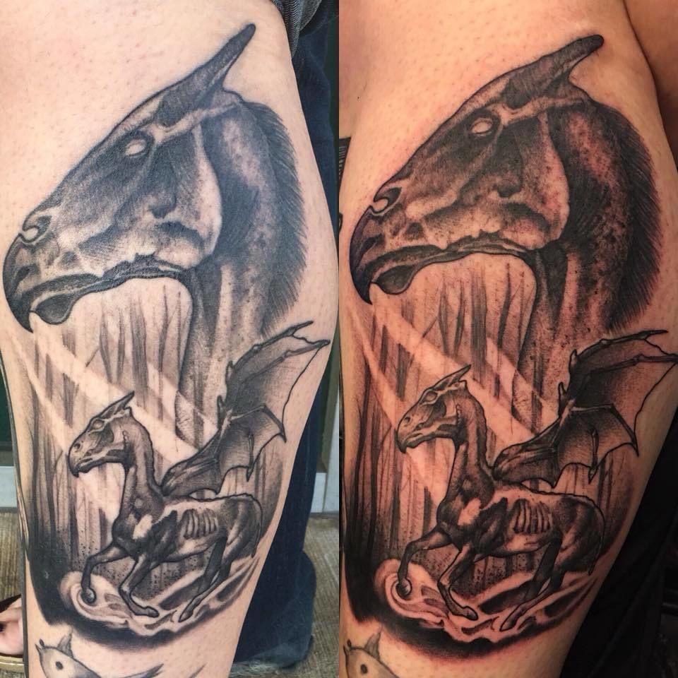 29572264_10160239569600646_6096664377765520373_n