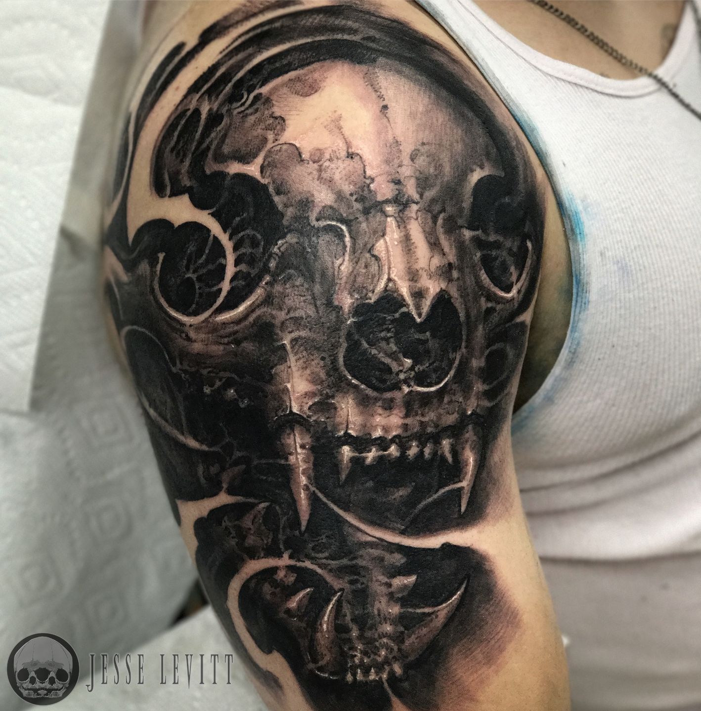 B5968012-957b-49ac-9f97-df79010f2981