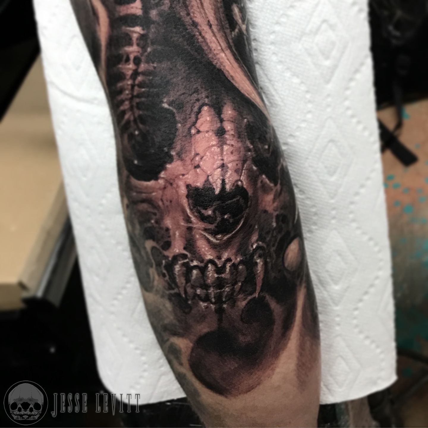 Fd3be269-c2c5-4aef-9845-06f2e5dd0352