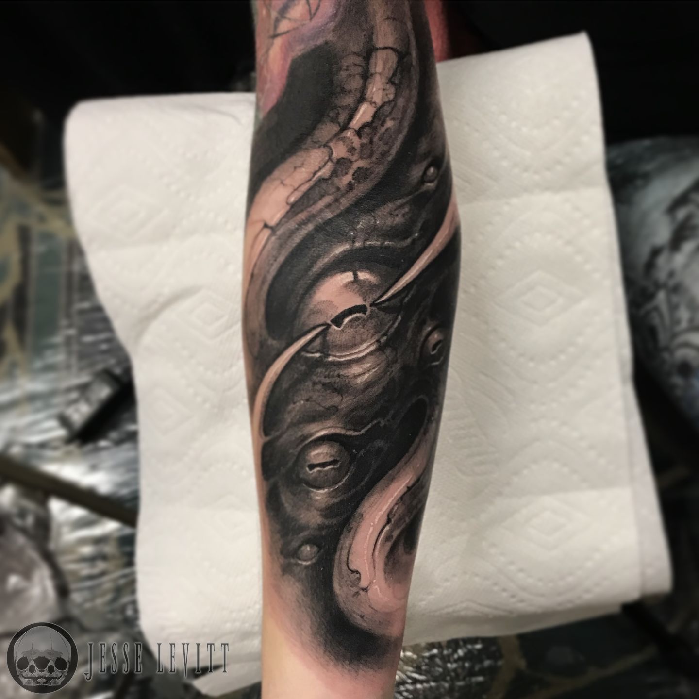 968b891d-9f03-4d41-a66c-2a9871d60c9a